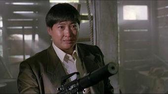 飞龙猛将国语在线观看,热血激战，英雄传奇再现荧幕  第2张